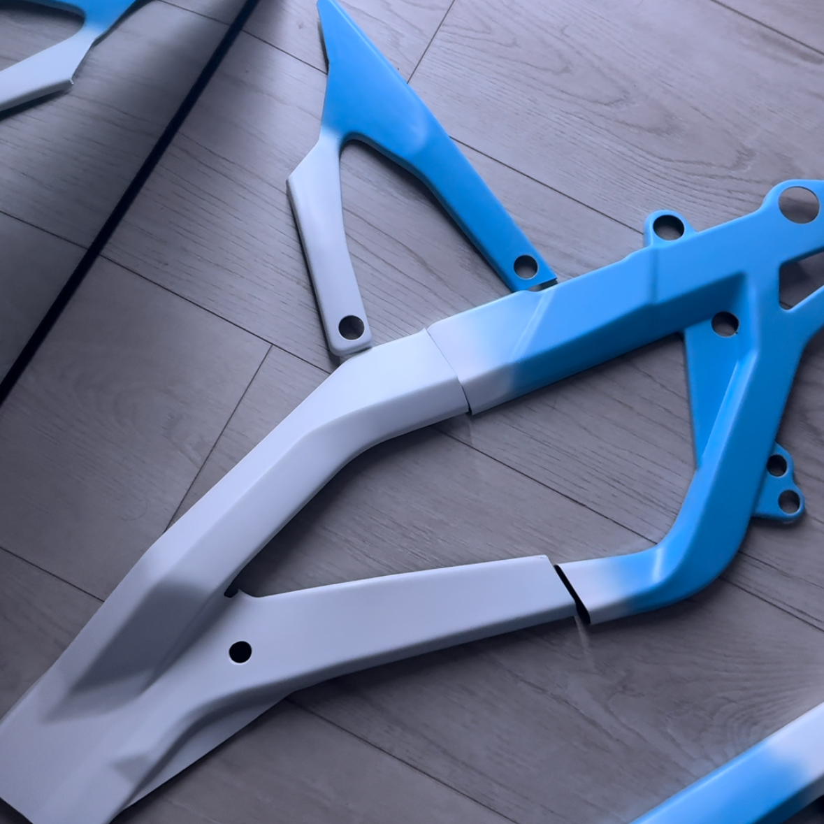 "Fade Edition" Professionally Painted Frame Guards (COLLECTIVE)